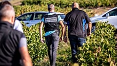 Busts at French vineyards uncover over 165 suspected slaves from Bulgaria