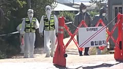 Afrikanische Schweinepest breitet sich in Südkorea weiter aus