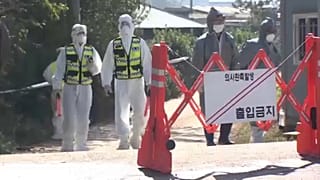 Dél-Koreában is pusztít az afrikai sertéspestis