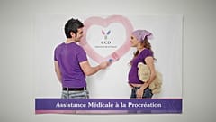 Francia, cosa prevede il progetto legge su procreazione assistita per coppie lesbiche e mamme single