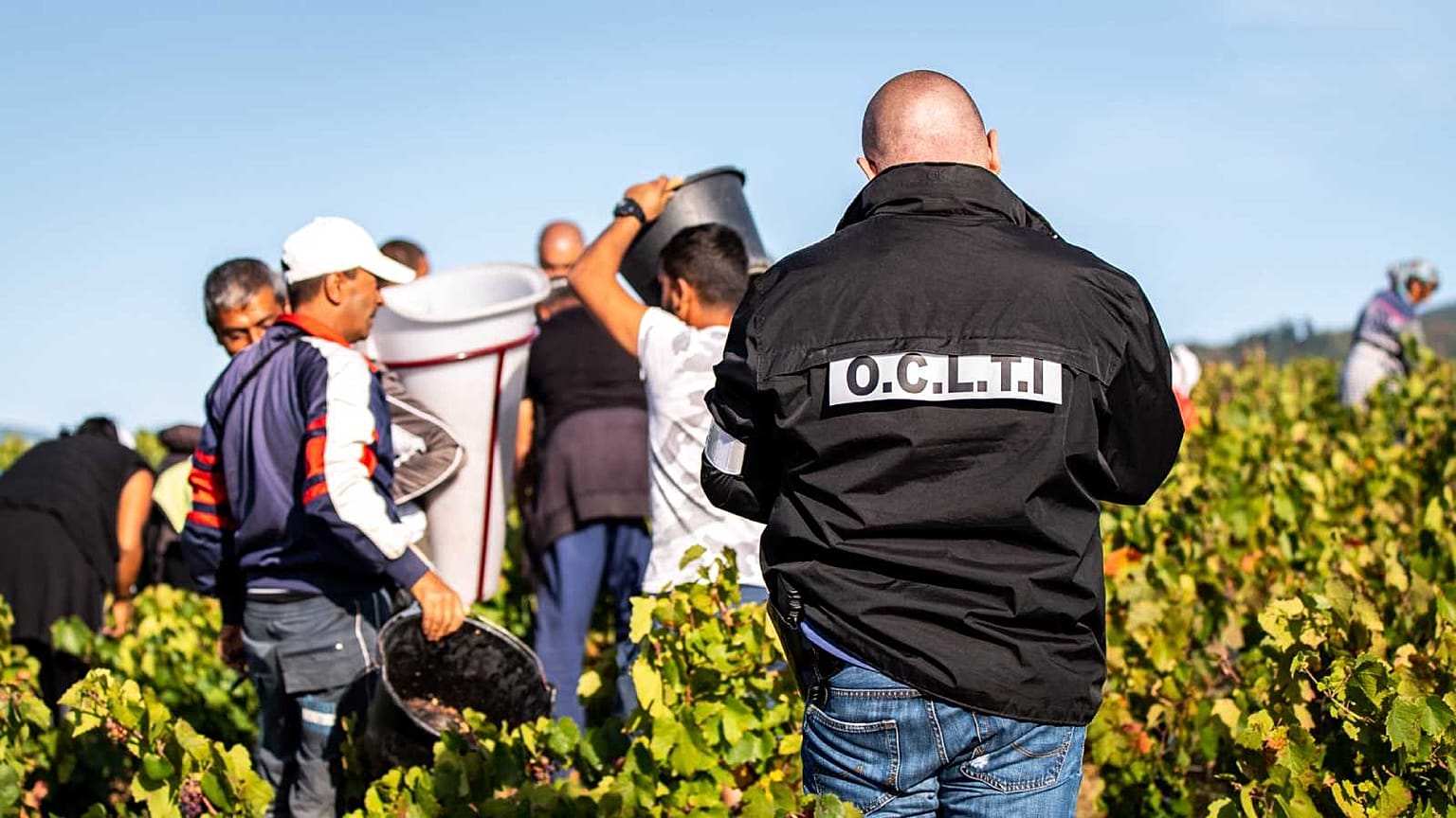 France : un réseau qui exploitait une centaine de vendangeurs bulgares démantelé