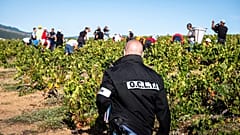 Francia, smantellata rete di trafficanti di esseri umani tra le vigne del Beaujolais