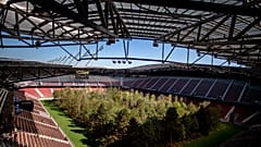 Foci-Eb: több mint félmillió fát ültet az UEFA