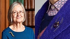 Lady Hale's caterpillar brooch and Etro's spider brooch