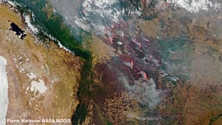 Continua a bruciare il cuore dell'America del Sud - e non solo in Amazzonia