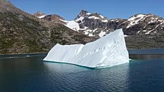 Klimawandel bekämpfen: Welche Vorschläge haben die Experten vom Weltklimarat?