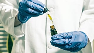 CBD oil derives from the Cannabis plant