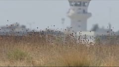 Νέες αμερικανικές κυρώσεις για τη Συρία  