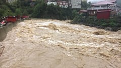 Artvin'in Borçka ilçesinde meydana gelen yağış nedeniyle dereler taştı
