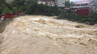 Artvin'in Borçka ilçesinde meydana gelen yağış nedeniyle dereler taştı