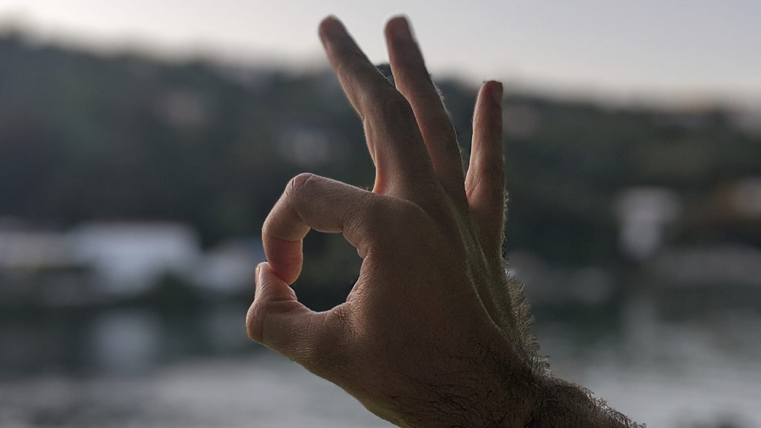 'OK' nefret sembolü listesine girdi: Beyazların üstünlüğüne inanan ırkçıların yeni işareti