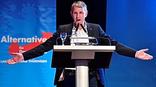 Höcke darf "Faschist" genannt werden - 10 Tweets