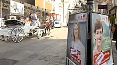 Koalitionsoptionen der ÖVP: "Pest, Cholera und Ebola"