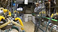 Une agricultrice normande, impactée par l'incendie de Lubrizol.