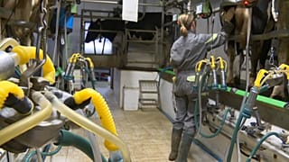 Une agricultrice normande, impactée par l'incendie de Lubrizol.