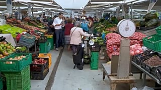 Sondagens apontam para PS sem maioria absoluta e subida PAN