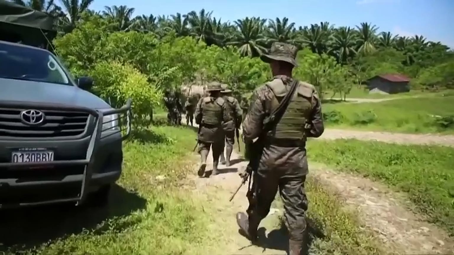 Guatemala destruye más de 1,5 millones de plantas de coca