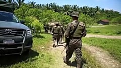 Guatemala destruye más de 1,5 millones de plantas de coca