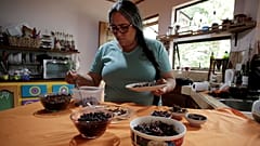 Насекомые на вкус, как картофель 