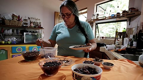 Looking for low-cost and highly nutritious food? Try insects!