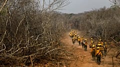 Bolivia empieza a controlar el fuego según las autoridades