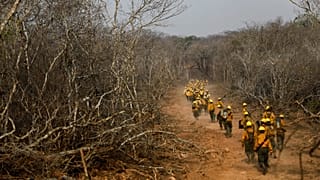 Bolivia empieza a controlar el fuego según las autoridades