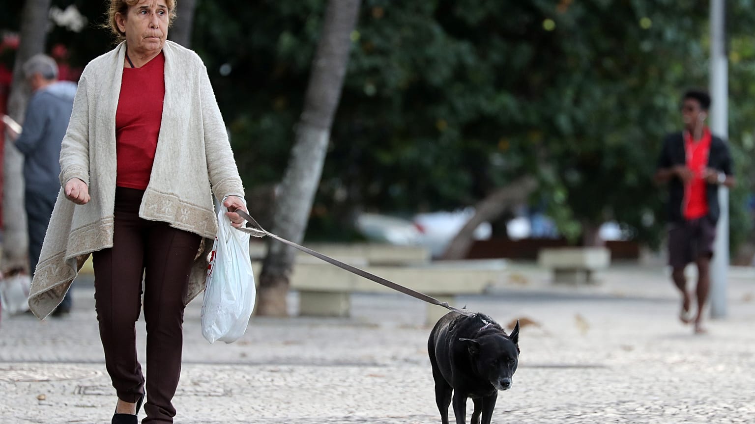 Κύπρος: Σύσταση Αστυνομίας των Ζώων