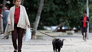 Κύπρος: Σύσταση Αστυνομίας των Ζώων
