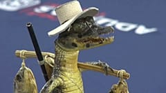 Bebés caimán convertidos en figurillas de adorno