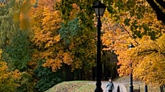 Borús, esős idő lesz az első októberi hétvégén