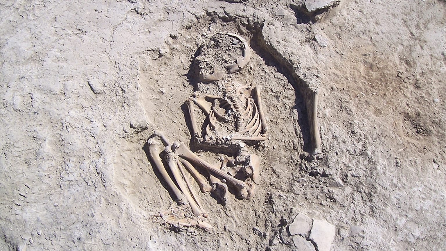 Arslantepe Höyüğü'ndeki kazılarda 5700 yıllık çocuk iskeleti bulundu