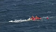 Australien: Wal aus Hainetz befreit