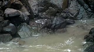 Μαθήματα αφοσίωσης από άγριους ελέφαντες στην Ταϊλάνδη