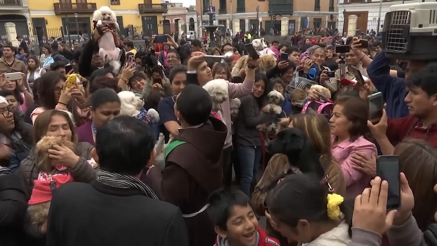 Local pets blessed by priest in in Lima, Peru