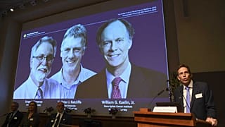 Medizin-Nobelpreis 2019 für William Kaelin, Gregg Semenza und Peter Ratcliffe 