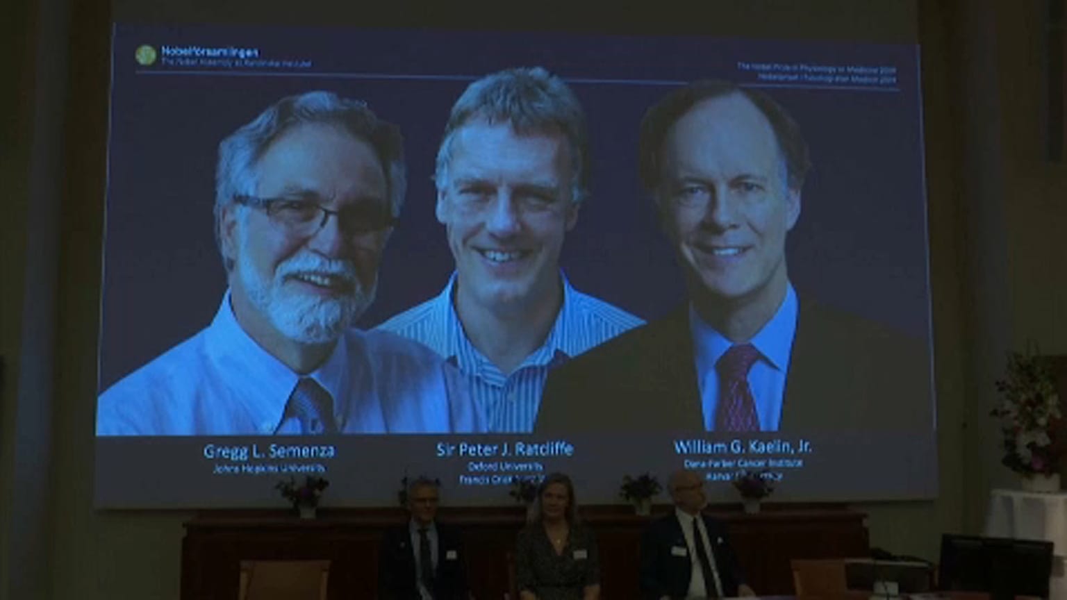 Nobel de Medicina para los estadounidenses Kaelin y Semenza y el británico Ratcliff