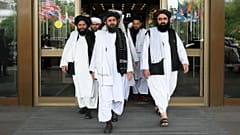 عکس تزئینی است