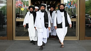 عکس تزئینی است