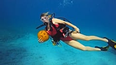 Unterwasser-Kürbisschnitzwettbewerb im Atlantik