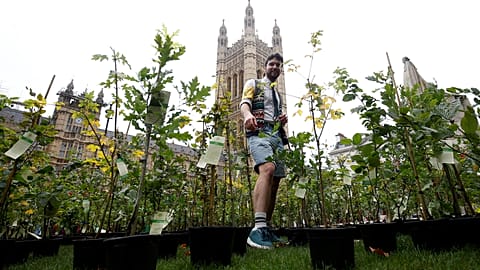 Extinction Rebellion activists plant trees outside UK parliament
