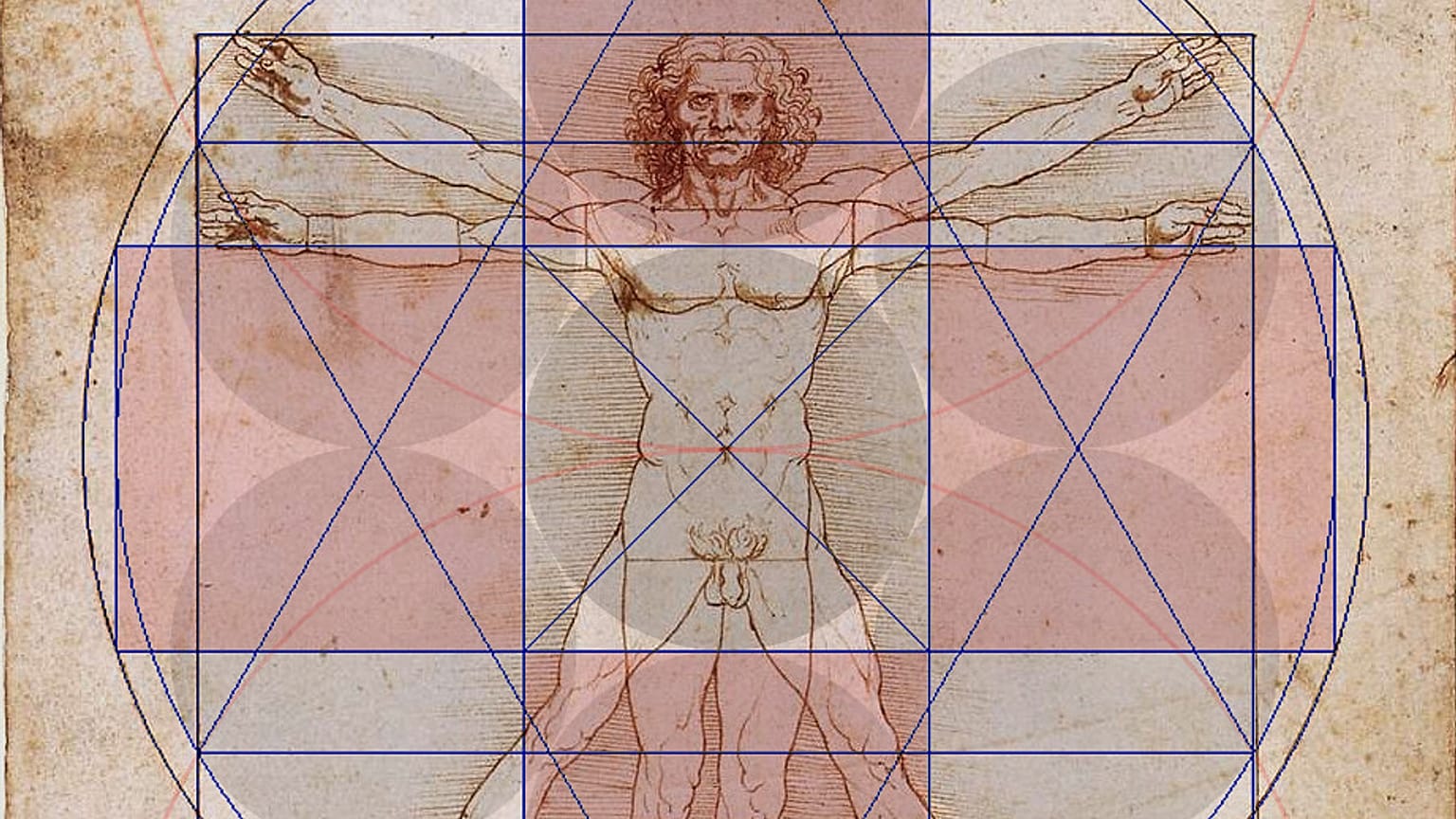 "L'Homme de Vitruve" ne sera pas exposé au Louvre