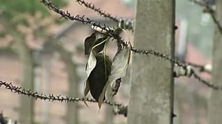 Auschwitz: quasi ultimati i lavori di restauro e conservazione