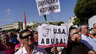 Los olivareros españoles en pie de guerra contra los aranceles