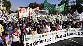 Olívaolaj-termelők tüntettek Madridban az amerikai védővámok ellen