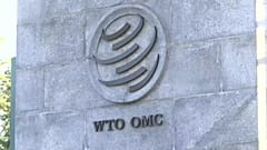 Organizzazione mondiale del Commercio, entrano in vigore i dazi statunitensi