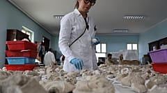 Возвращение наследия: в Кабуле восстанавливают статуи Будды