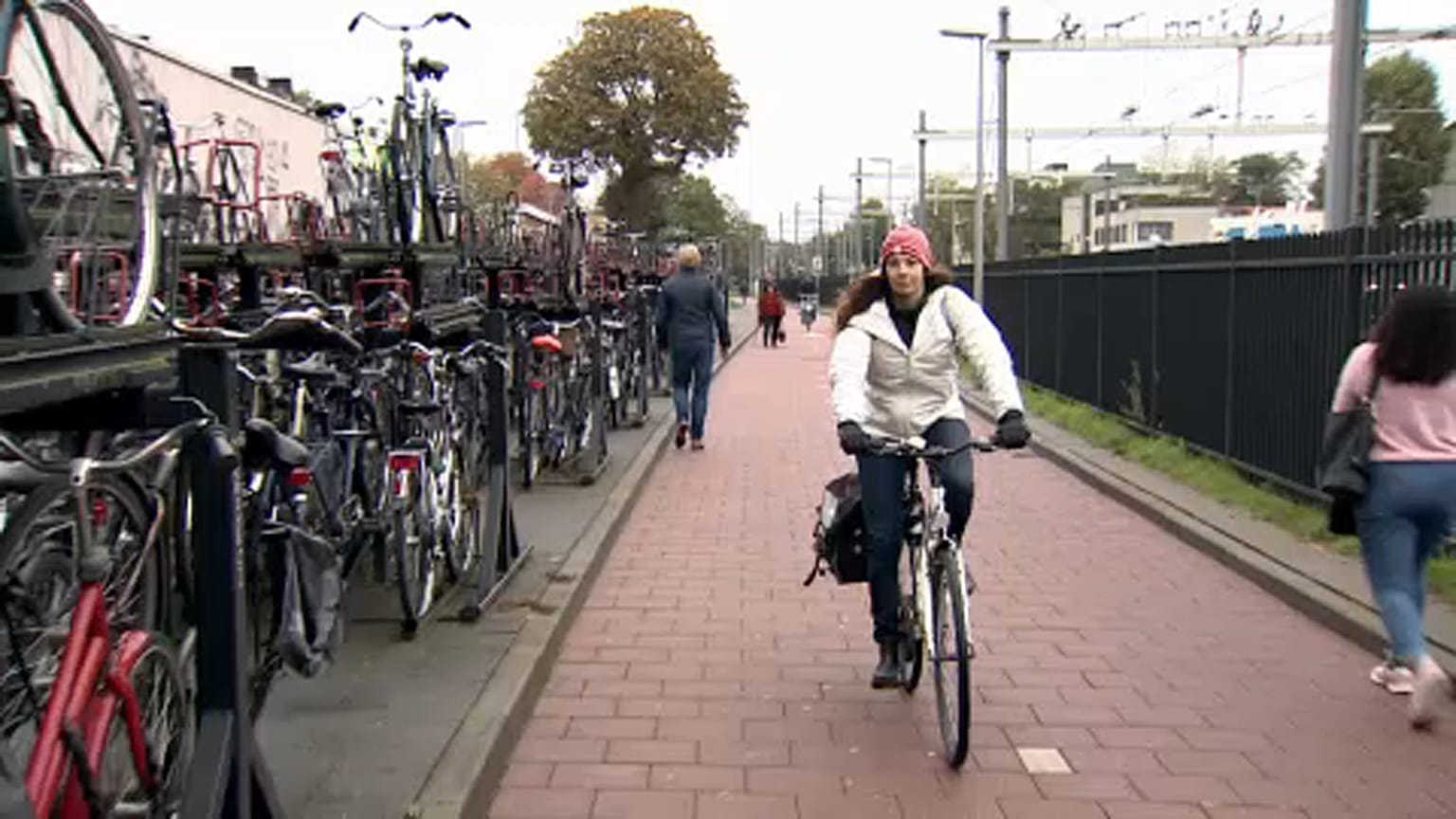 Londoners adjust to new life in the Netherlands