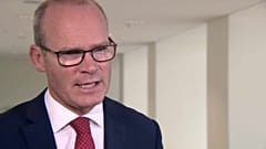 Simon Coveney tells Euronews the UK 'needs to move to facilitate deal'