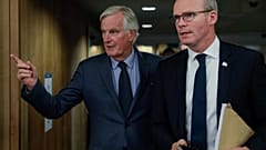 Irlands Außenminister Coveney: "Wir wollen alle einen Deal"