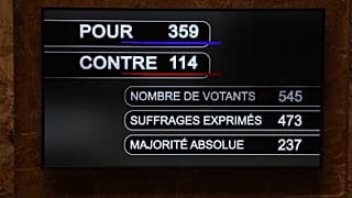 PMA pour toutes : les députés français adoptent le projet de loi bioéthique